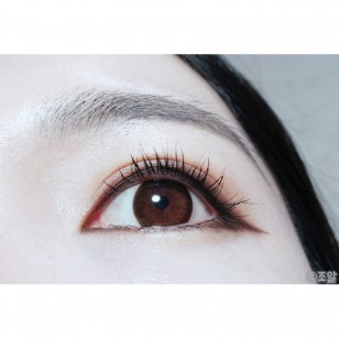 韓版 Lacelle Grace Daily Twinkle Brown